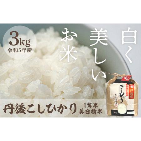 ふるさと納税 令和5年産　丹後こしひかり1等米3kg　美白精米 京都府京丹後市