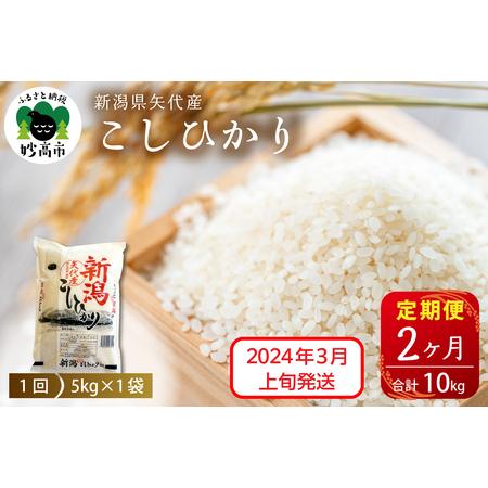 ふるさと納税 新潟県矢代産コシヒカリ5kg×2回（計10kg）※沖縄県・離島配送不可 新潟県妙高市