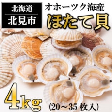 オホーツク海産　ほたて貝　4kg(20～35枚)