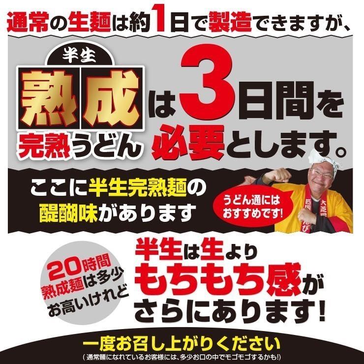 20時間熟成  半生 讃岐うどん 3種麺 つゆ付きセット 便利な個包装 750g 送料無料 最安値挑戦 得トクセール 特産品