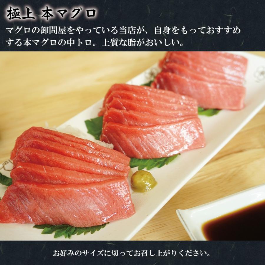 本マグロ マグロ 中トロ 刺身 約1キロ (12〜14人前) 本まぐろ 中トロ 生食用 サク マグロ刺身 トロ 特上本鮪