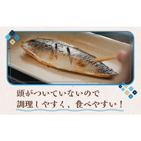 ふるさと納税 食べやすい！フィーレのお魚セット（プロトン凍結） 福井県高浜町