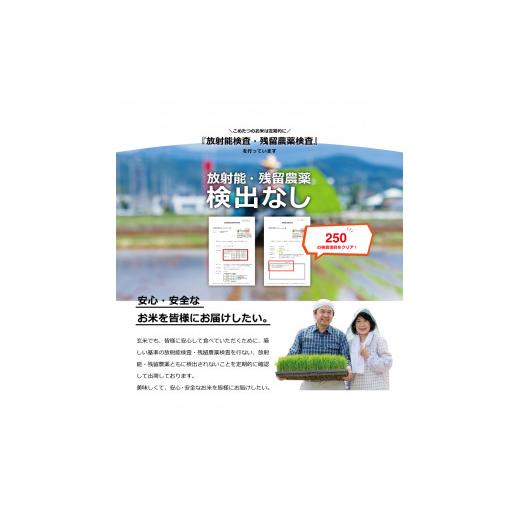 ふるさと納税 熊本県 和水町 新米 令和5年産 森のくまさん 白米27kg（9kg×3袋）