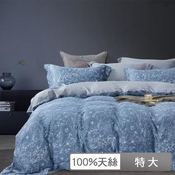 【貝兒居家生活館】100%天絲七件式兩用被床罩組  (特大雙人/線的自由)