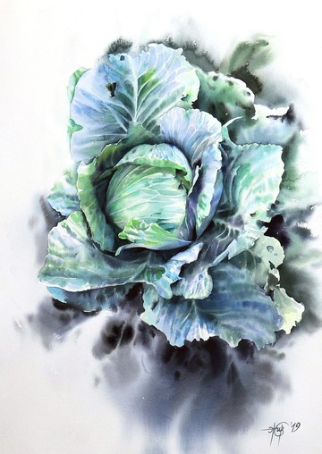 藝術家伊琳娜·朱納耶娃（Irina Zhunaeva）的植物捲心菜原創水彩手工繪畫