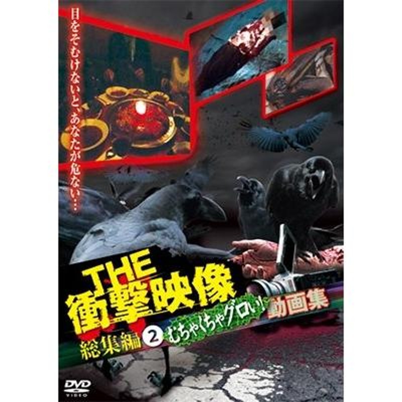 THE 衝撃映像 総集編2 むちゃくちゃグロい!動画集 DVD | LINEブランドカタログ