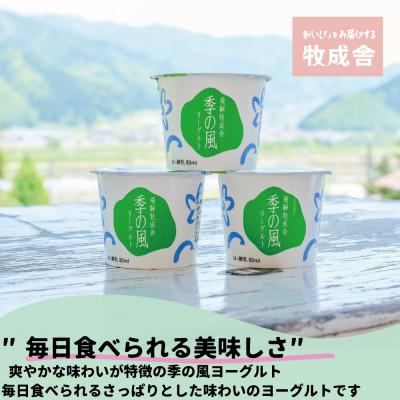 ふるさと納税 飛騨市 飛騨の牛乳屋・牧成舎のこだわりカップヨーグルト12点セット