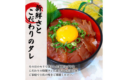 これが魚屋の漬け丼だ！～ブリ～ 《訳あり》 ８０ｇ×１０P ブリ ぶり 鰤 漬け丼 漬け どんぶり 丼 10パック 海鮮 魚 真空パック 個食 個包装 冷凍 配送 訳あり 規格外 不揃い