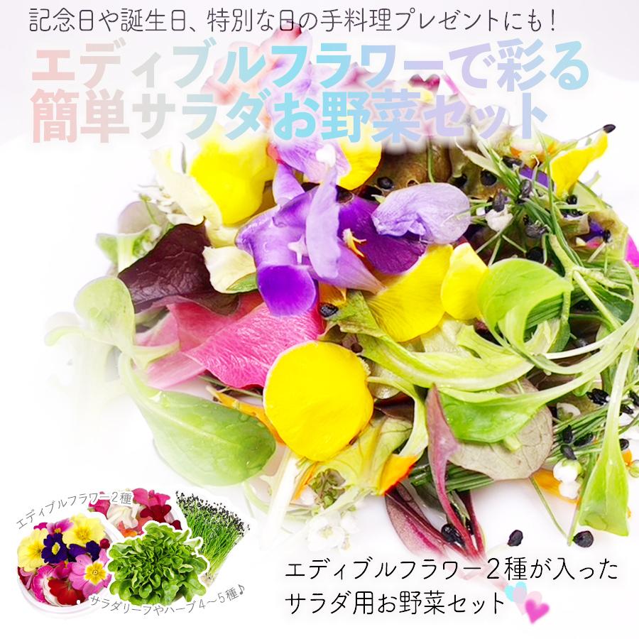 食用花エディブルフラワーとサラダ野菜セット 記念日や誕生日など特別な日の手料理の彩に