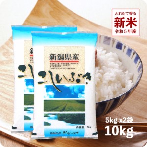 新米 10kg こしいぶき 令和5年産 お米 新潟県産 産直 精米 白米 5kgx2袋 ※沖縄への配送は別途送料