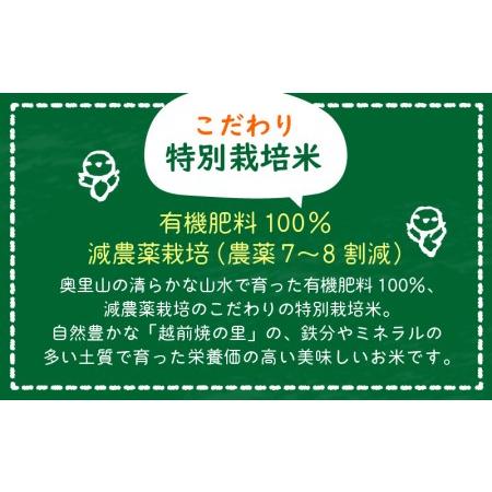 ふるさと納税 米 定期便 ≪6ヶ月連続お届け≫ 特別栽培米 コシヒカリ 5kg × 6回 令和5年産 新米 福井県産 [e1.. 福井県越前町