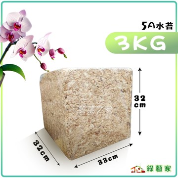【綠藝家】5A水苔(智利水苔)-3公斤) // 蘭花 鹿角蕨 植生板 苔蘚
