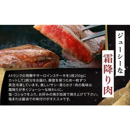 ふるさと納税 飛騨牛Ａ5 サーロインステーキ用 1kg（250g×4枚）｜国産 肉 牛肉 焼肉 ステーキ 和牛 黒毛和.. 岐阜県大野町