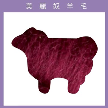 紐西蘭ASHFORD-美麗奴羊毛 M10覆盆子色｜50g｜DIY手作/羊毛氈材料/文創