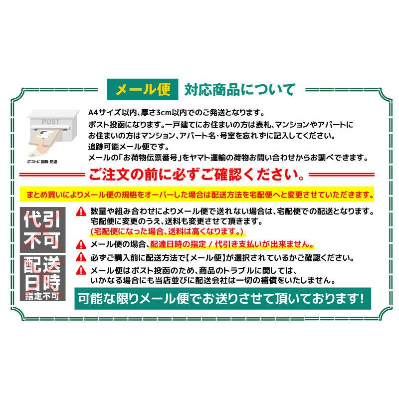 SASAKI ササキ (#153) デミシューズ 新体操 シューズ ハーフシューズ メール便対応