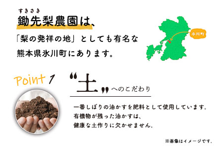 鋤先梨農園 の 梨じゃむ 3本セット 熊本県氷川町産《30日以内に順次出荷(土日祝除く)》---sh_skijam_30d_23_9000_3i--