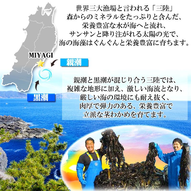 茎わかめ 300g 宮城県 三陸産 理由あり湯通し塩蔵元付茎若布 無添加 無着色 チャック付袋 メール便 ゆうパケ 送料無料 [茎わかめ300g L2] 即送