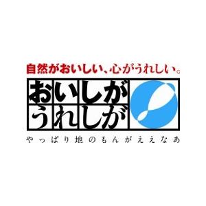 新米 白米 10kg 滋賀県近江八幡産 キヌヒカリ 内野営農組合 令和5年産 環境こだわり農産物