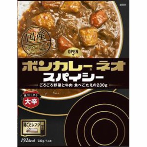 大塚 ボンカレーネオ スパイシー大辛２３０ｇ  ×10