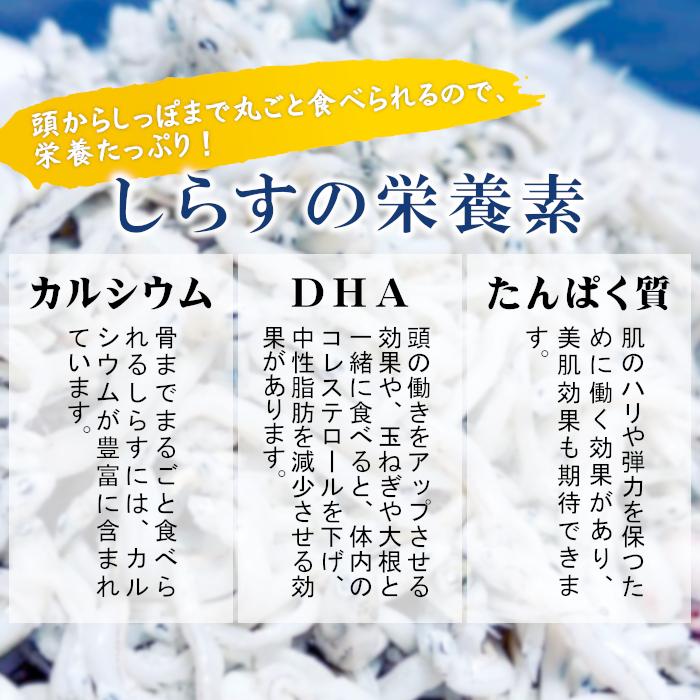 ちりめん 1kg 日間賀島産 お取り寄せ ちりめんじゃこ 1キロ ご飯のお供：i05