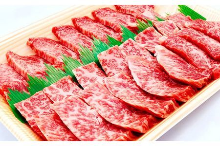 C-182 まちのお肉屋さん 焼肉セット 500g おおいた和牛 タレつき