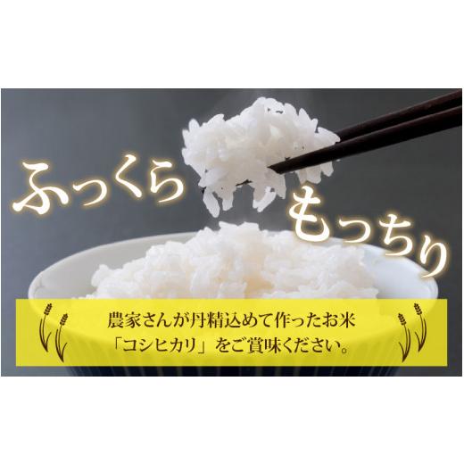 ふるさと納税 福井県 永平寺町  令和5年度産 永平寺町産 コシヒカリ 10kg×3ヶ月（計30kg） [F-033021]