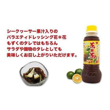 ふるさと納税 先行予約！2024年4月頃発送　南城市産海ぶどう500ｇ 沖縄県南城市