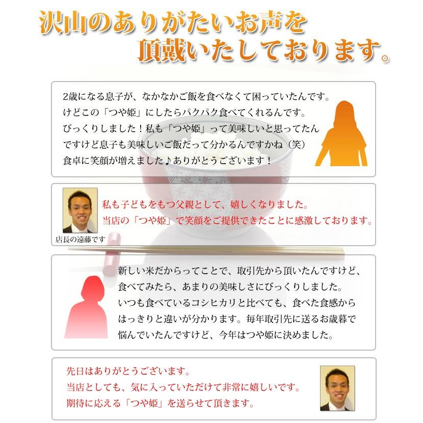 令和5年産 新米 お届け中! つや姫 10kg (5kg×2袋) 山形県産 お米 白米 米 こめ ポイント消化 産地直送 特別栽培米