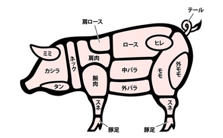 山形県産 豚肉 豚切り落とし 500g×2パック（1kg） F21A-215