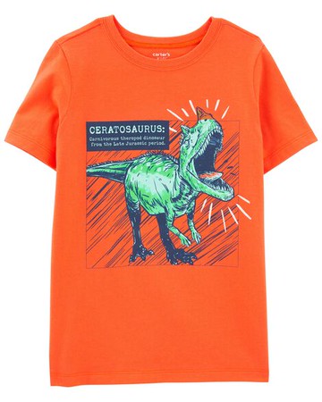 Kid Dinosaur Ceratosaurus Jersey Tee