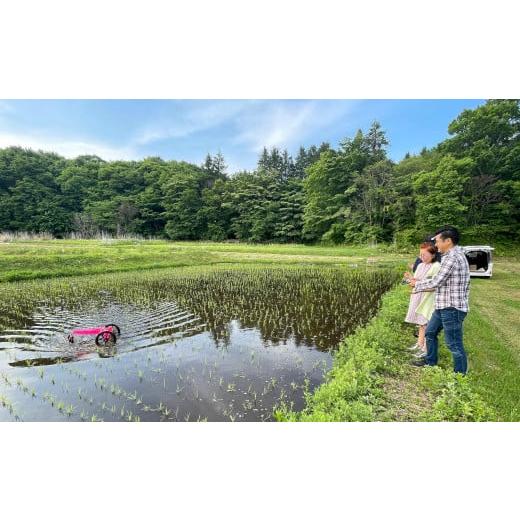 ふるさと納税 長野県 塩尻市 新米 自然栽培(農薬・肥料不使用、天日干し)イセヒカリ 5kg 玄米[5993330]