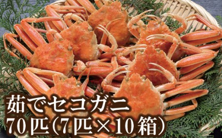 セコガニ 60匹！（約120g×6匹入り×10箱） 釜茹で 冷凍 発送目安：11月中旬以降発送 最大10箇所配送OK 濃厚なかにミソとやみつきになる内子、外子が絶品です 数量限定 産地直送 鮮度抜群 絶妙の塩加減での茹で上げ 大人気 ふるさと納税 香美町 香住 柴山 国産 カニ 松葉ガニ せいこがに メスガニ 日本海フーズ 07-105