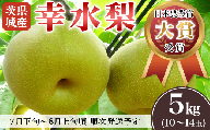 茨城県産「幸水梨」約5kg