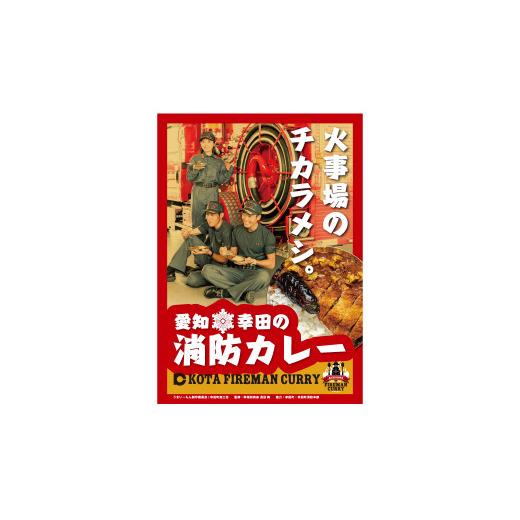 ふるさと納税 愛知県 幸田町 幸田消防カレー 200g×12個入り レトルトカレー カレー 小麦粉不使用