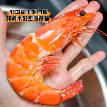 【鮮綠生活】(免運組)巨無霸無毒白蝦皇16/20(600克/約9-11尾/盒)共3盒