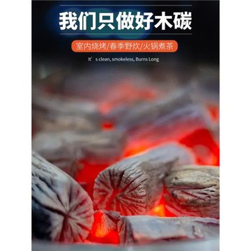 橄欖烏欖龍眼棗核無煙核桃木炭茶爐專用室內茶室圍爐煮茶碳果木炭