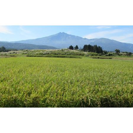 ふるさと納税 《定期便》2kg×11ヶ月 鳥海山の恵み！秋田県産 あきたこまち ひの米（精米）計22kg（2kg×11回連続） 秋田県にかほ市