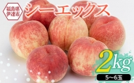 福島県産 桃 シーエックス2kg（5～7玉） F20C-151