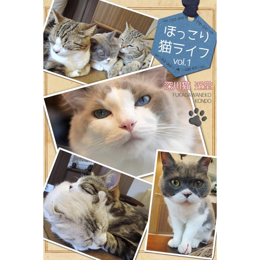 ほっこり猫ライフ vol.1 電子書籍版   深川猫近堂 Blue Label