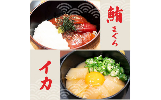 訳あり海鮮漬け丼（5種×各2P）セット 漬け丼 まぐろ イカ ぶり 鯛 タイ カツオのタタキ 鰹タタキ 食べ比べ 海鮮 魚 冷凍 食品 保存食 小分け 高知 土佐 海鮮丼 鯛めし 漬け丼 惣菜 そうざい 訳アリ わけあり 不揃い 規格外 故郷納税 10000円 返礼品