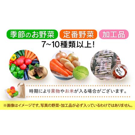 ふるさと納税 期間限定！季節の野菜・加工品 7〜10種以上 詰合せ「おもいでな野菜セット」 [e26-a001.. 福井県越前町