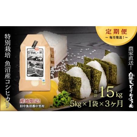 ふるさと納税 ≪令和5年産≫農家直送！魚沼産コシヒカリ特別栽培「白羽毛の米」精米(5kg×1袋)×3回 15.. 新潟県十日町市