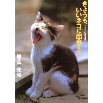 写真集　きょうも、いいネコに出会えた ニッポンの猫写真集／岩合光昭