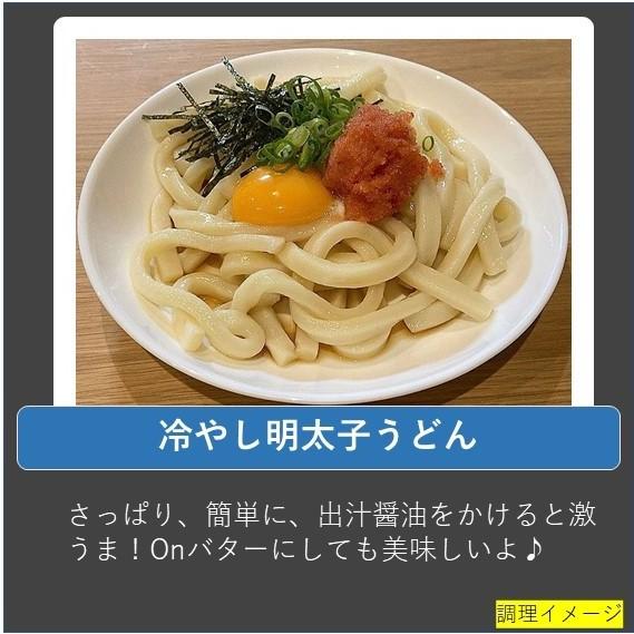 奇跡のうどん 12玉　国産　国産小麦粉　『三重県産あやひかり』100％使用　冷凍でおとどけ　こしが強い　うどん　太うどん　もっちりとした食感