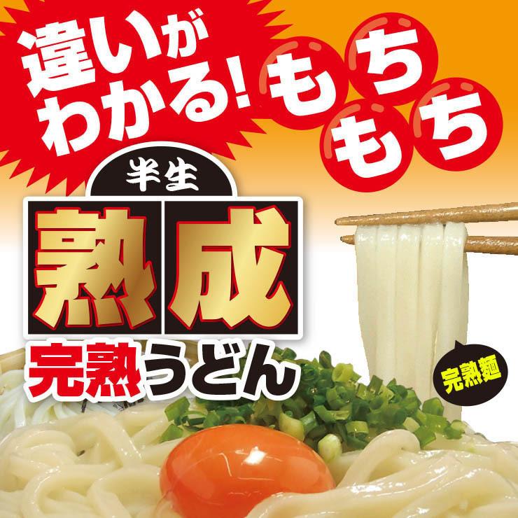 20時間熟成  半生 極太 讃岐うどん つゆ付きセット 便利な個包装 750g 送料無料 最安値挑戦 得トクセール 特産品