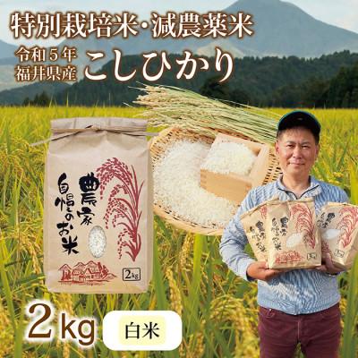 ふるさと納税 越前市 令和5年 新米 福井県産 栽培期間中農薬を減らして栽培したこしひかり 2kg(白米)