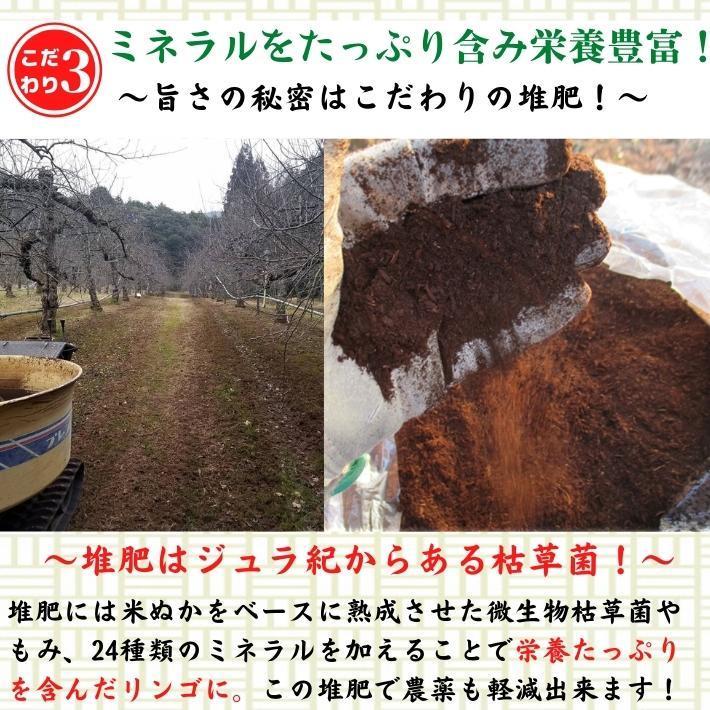 2024年度予約 高知県産 りんご ふじ  減農薬  有機肥料 8玉入 土本観光農園 ギフト 産地直送