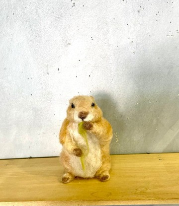 草原犬鼠