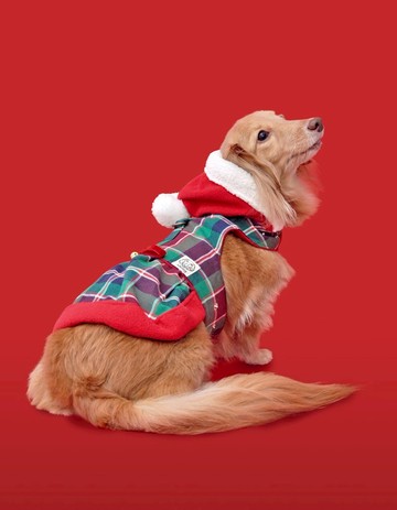 耶誕叮鈴 Among 胸背衣  聖誕節 (冬款絨布底布)