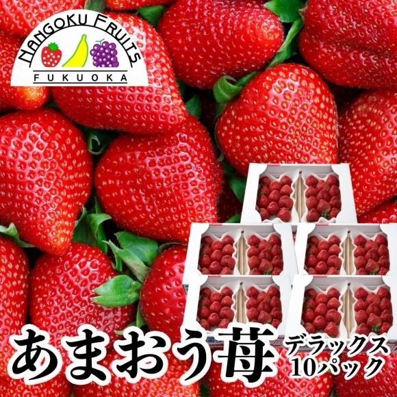 福岡産 あまおう苺 デラックス 10パック（ギフト いちご イチゴ 苺 御歳暮 御祝）